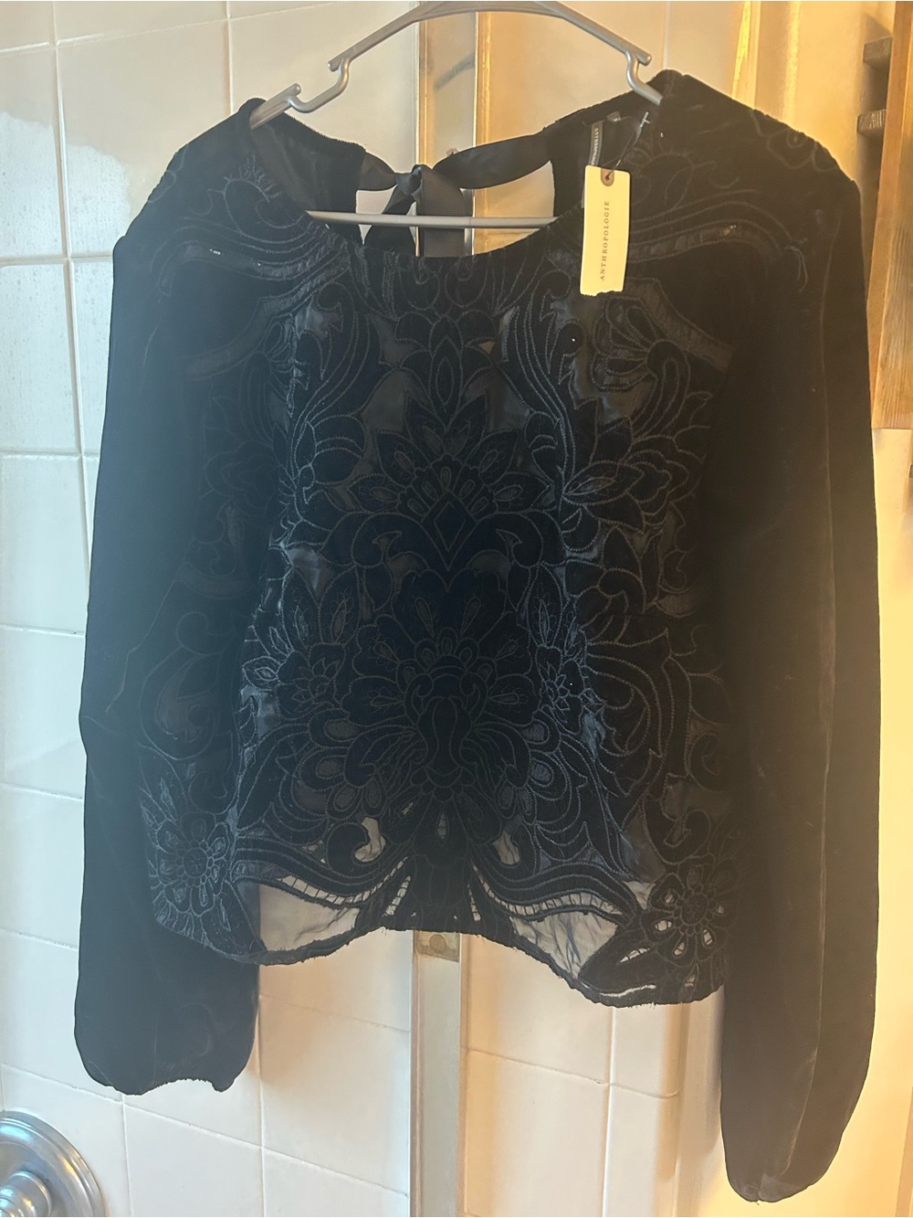 Anthropologie Black Velvet Embroidered Long-Sleeve Blouse